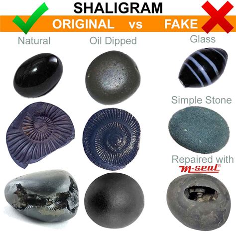 what is a shaligram